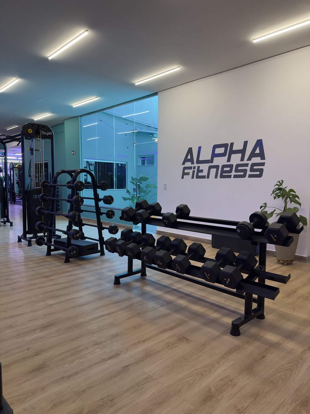 Estrutura da Alpha Fitness — Redenção-PA